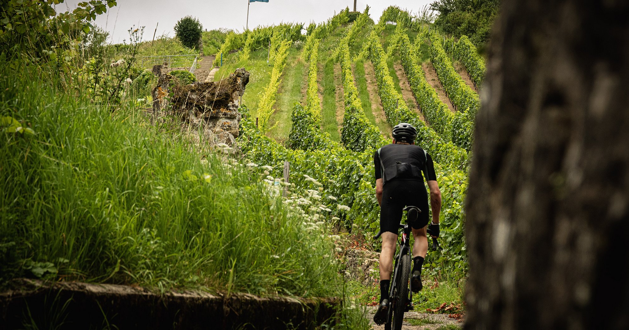 V lo Visit Moselle