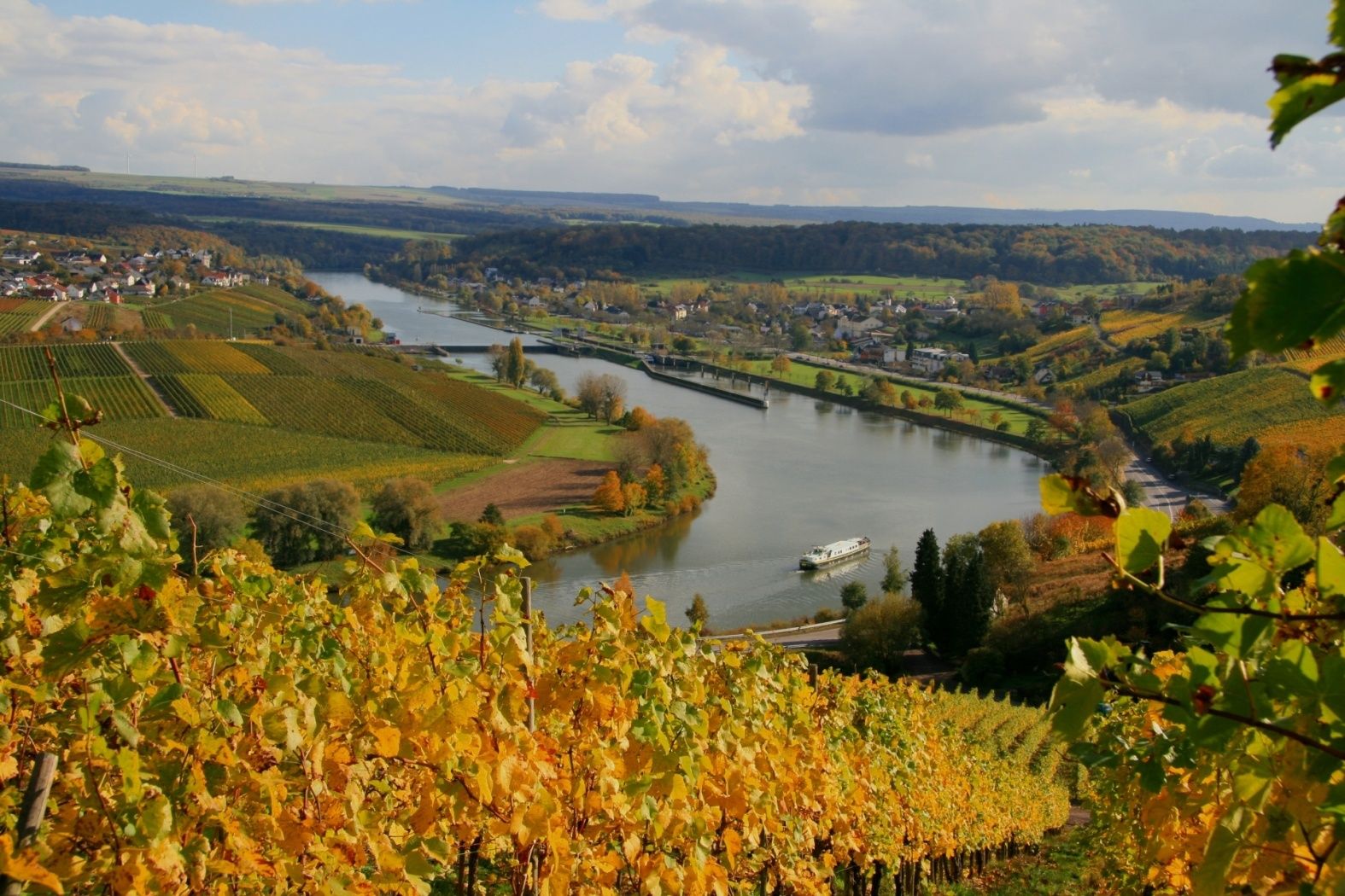 1 vue op briedemes