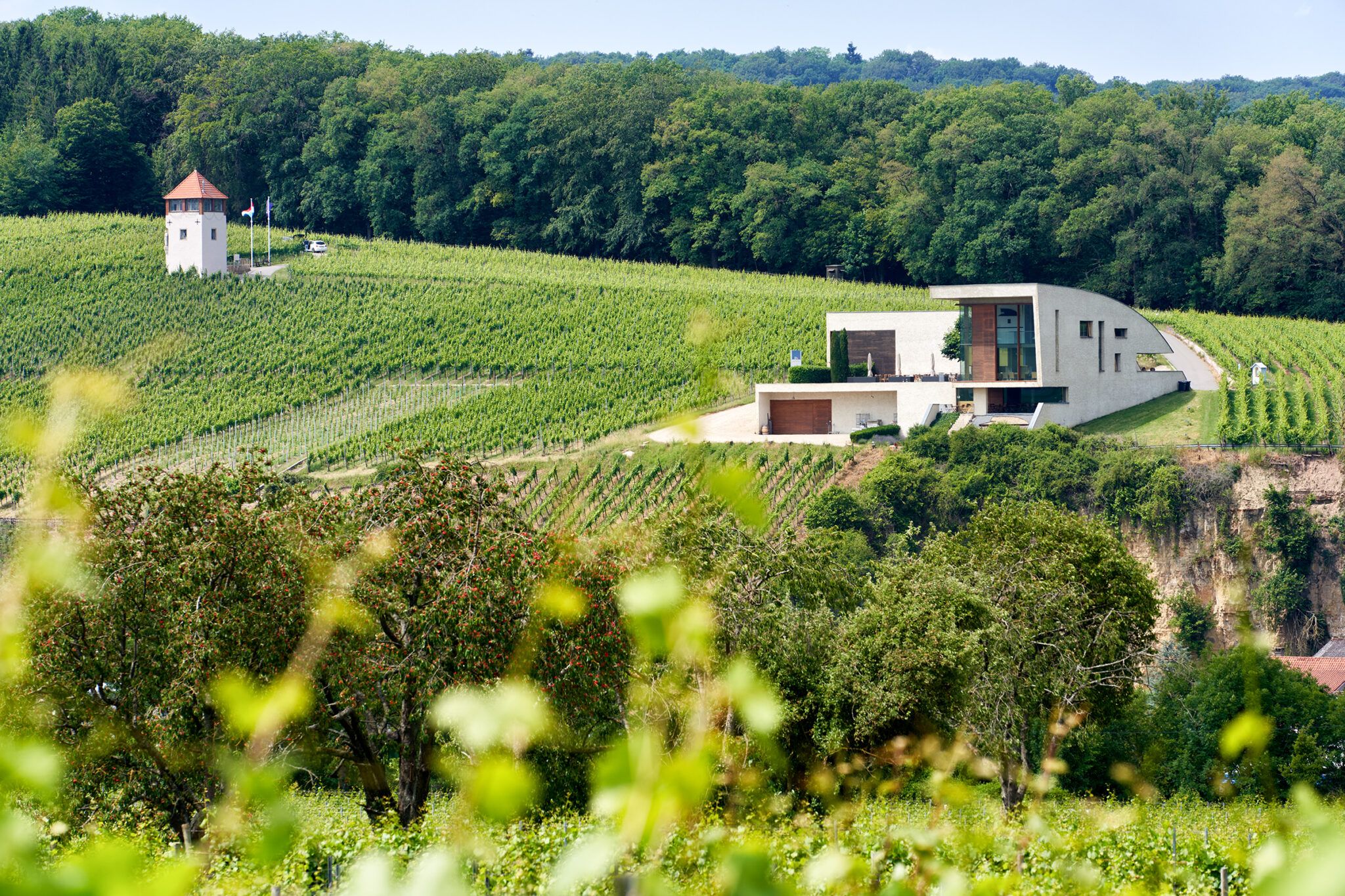DomaineHenriRuppert-Schengen-0004-2048x1365