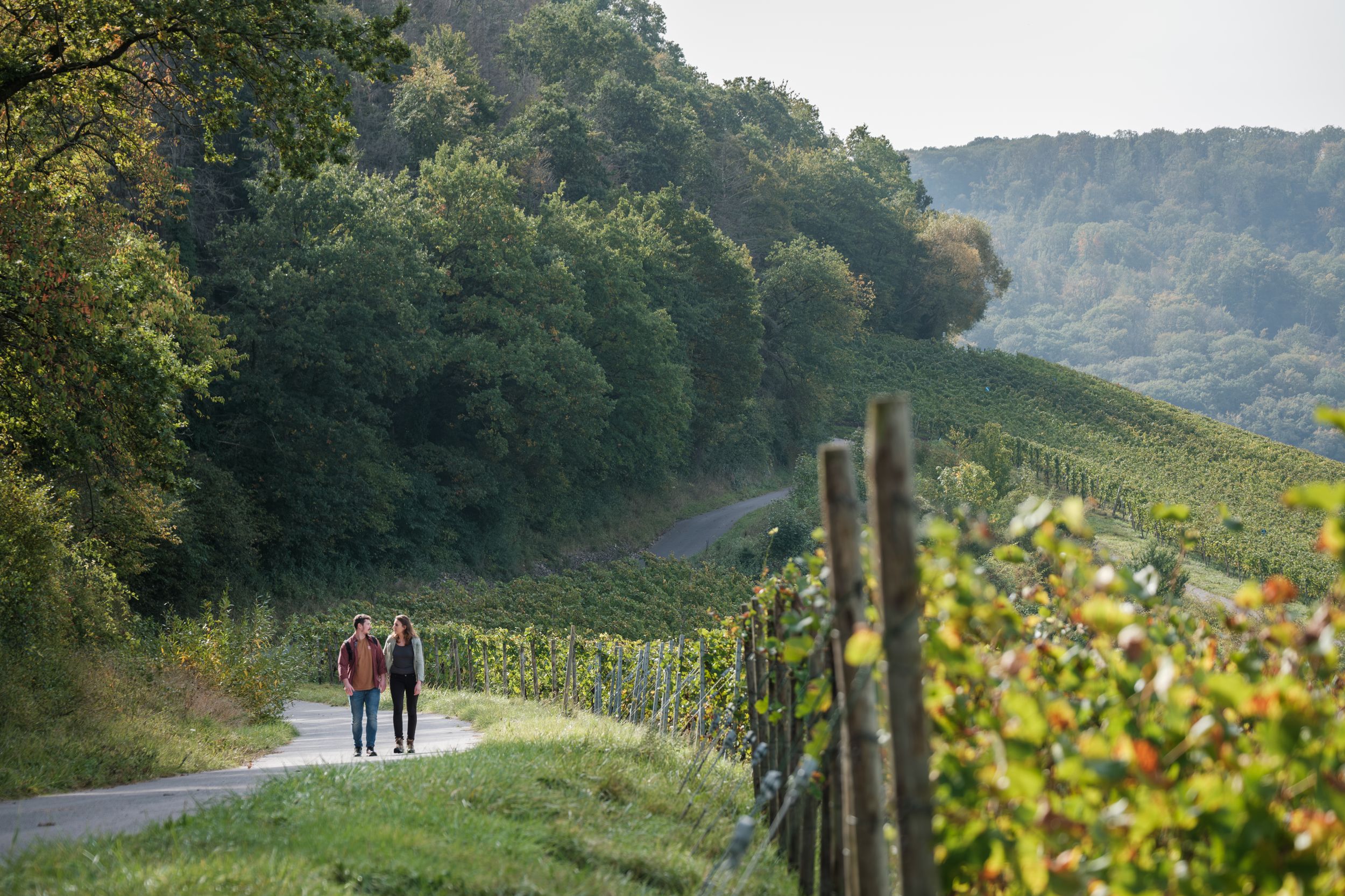 Wandelen