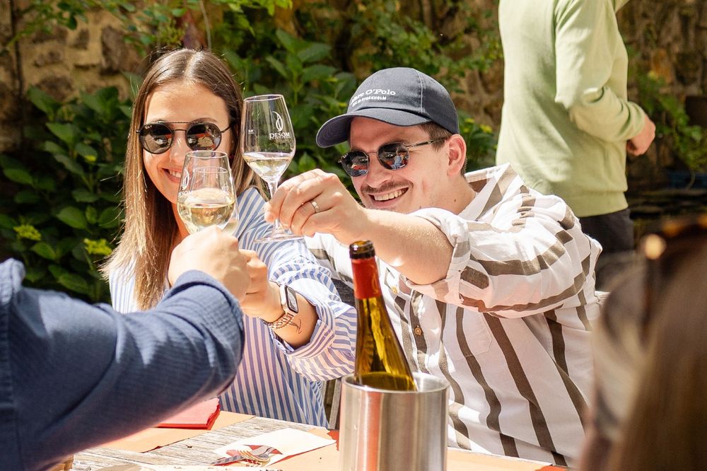 Wine Taste Enjoy