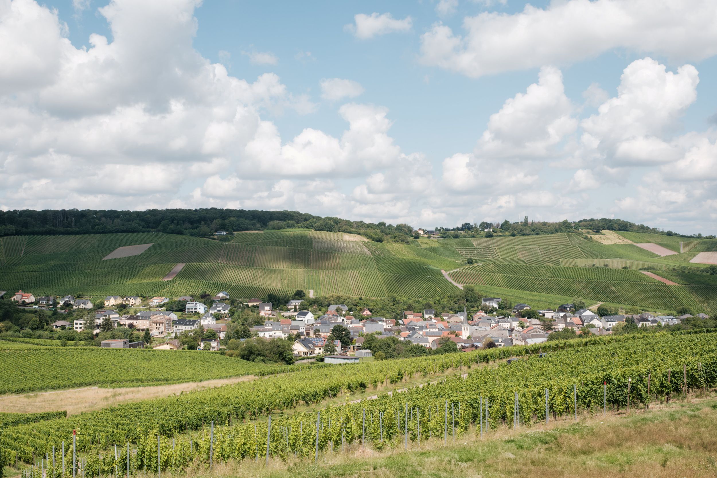 Wellenstein