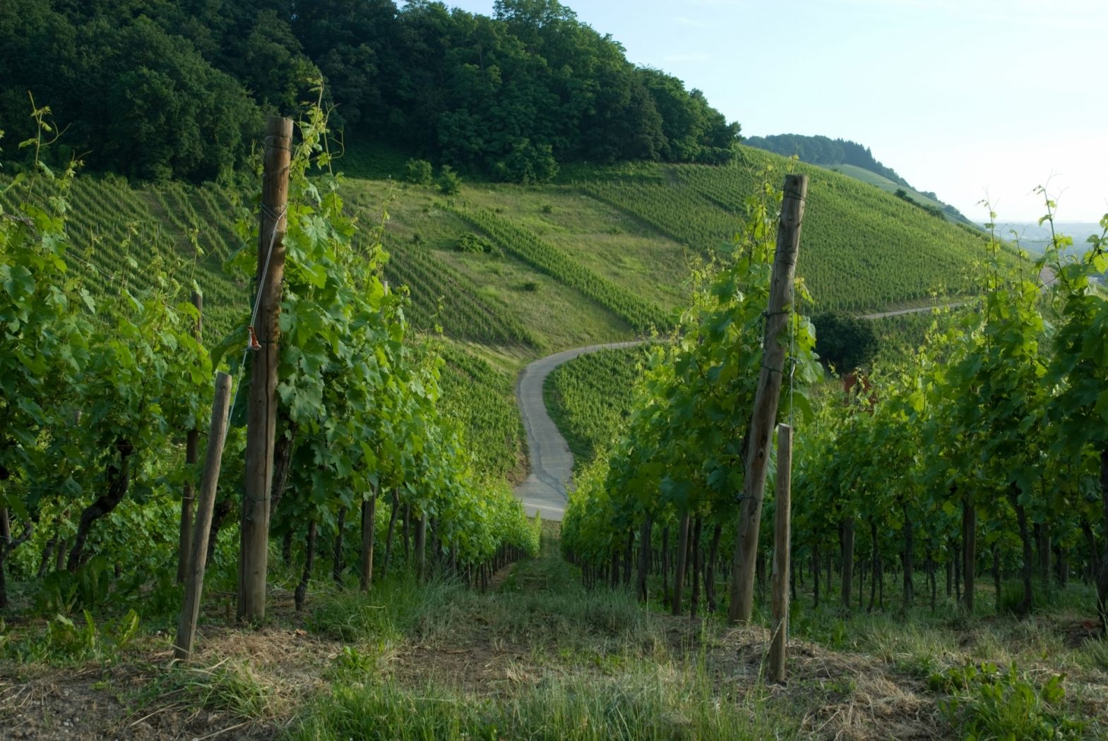 Strombierg, Schengen