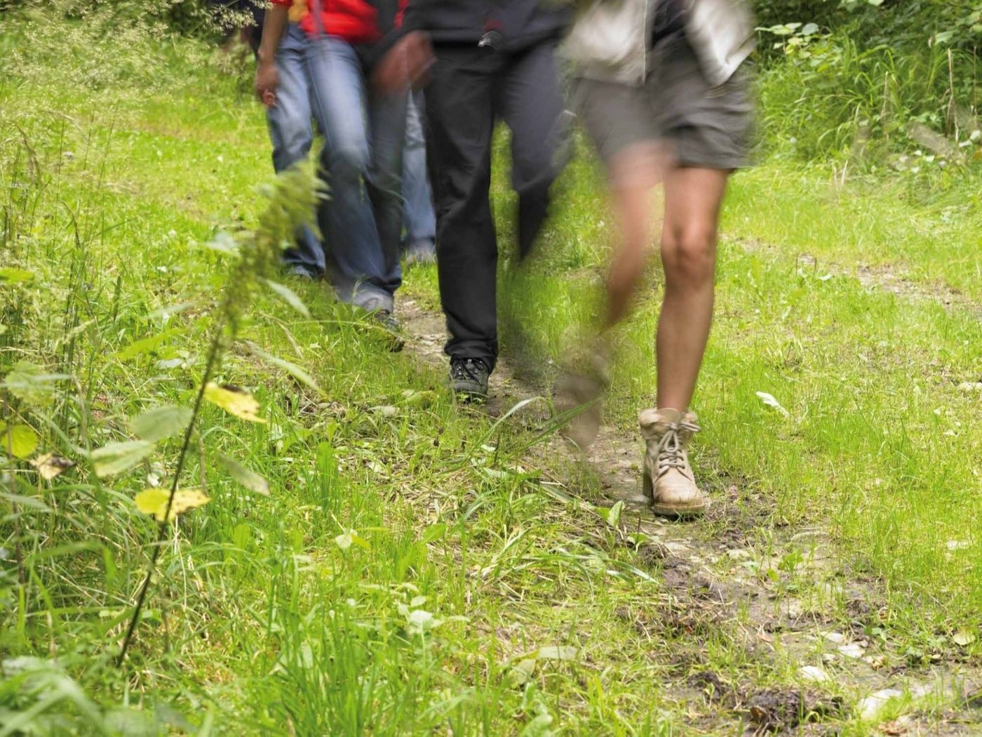 Circular walk Roodt-sur-Syre