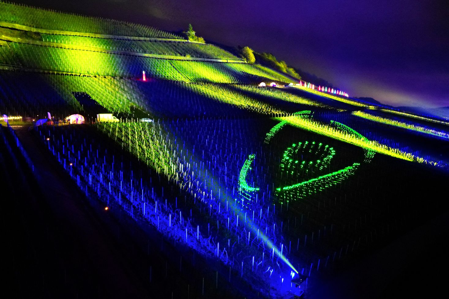 Wine Lights Enjoy