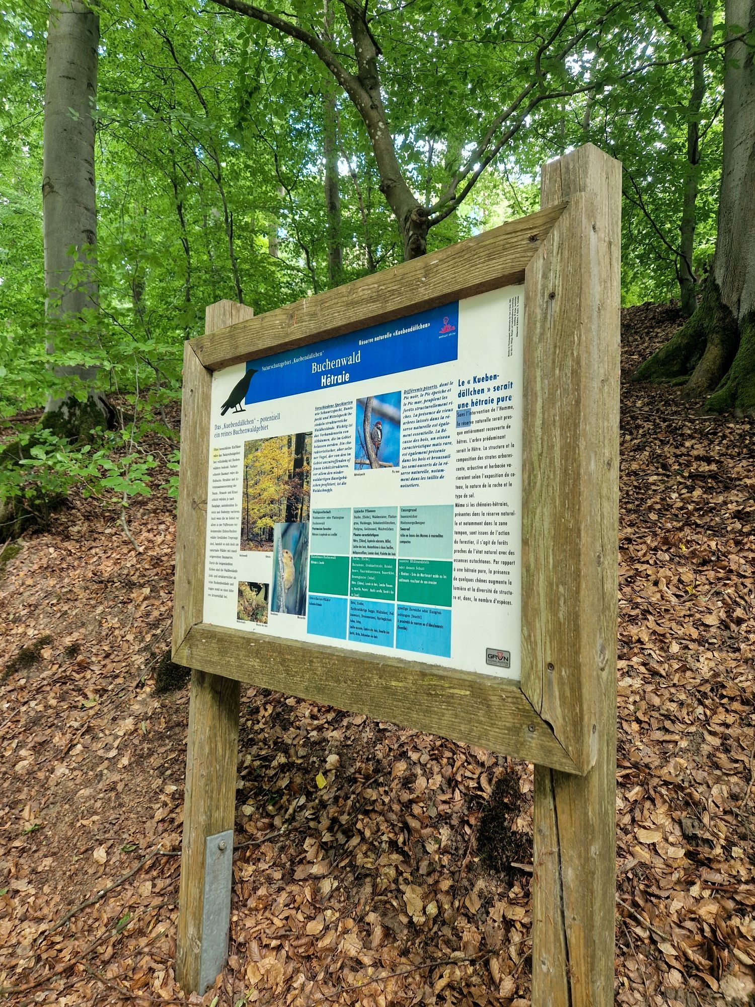 Infotafel Kuebendällchen
