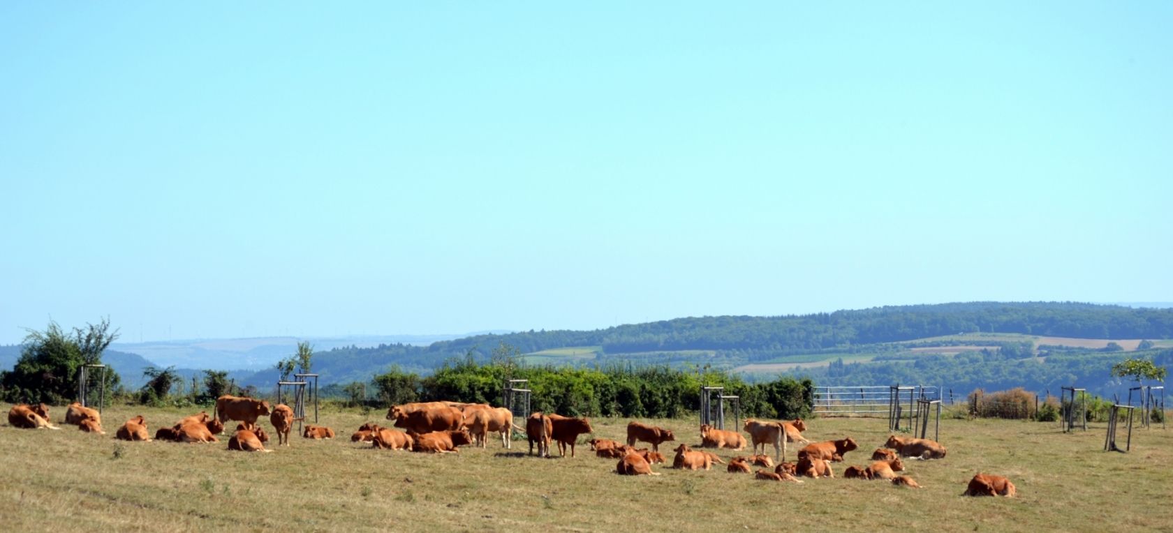 Duhr-Arendt Robert et Gritty Manternach