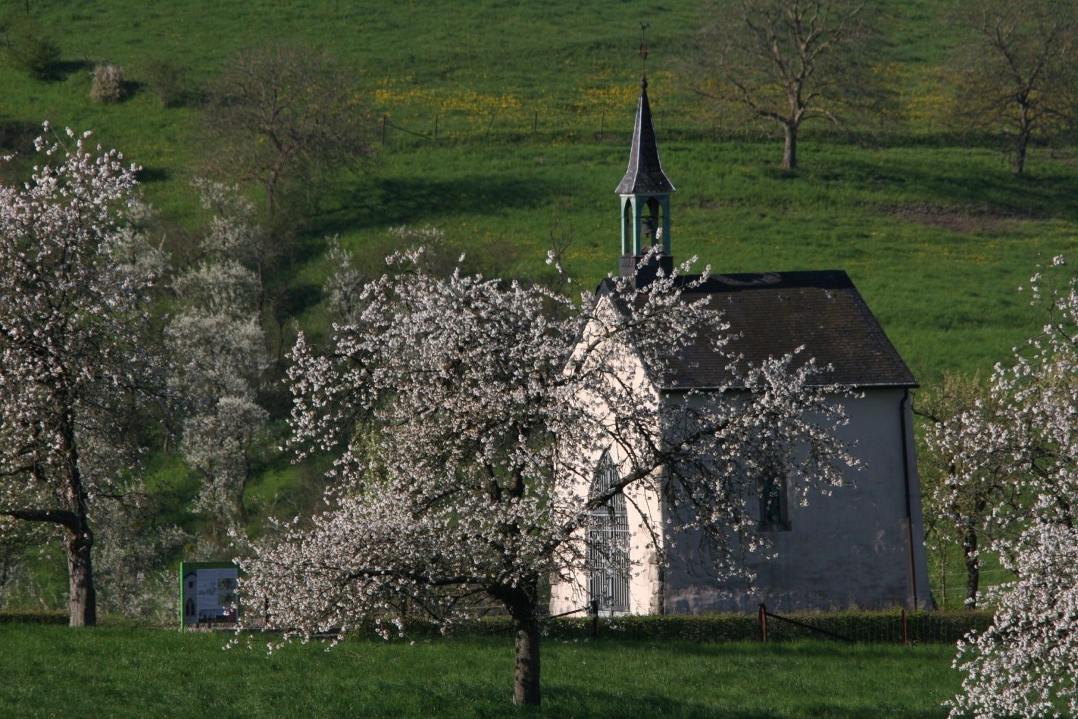 daller treppeltour