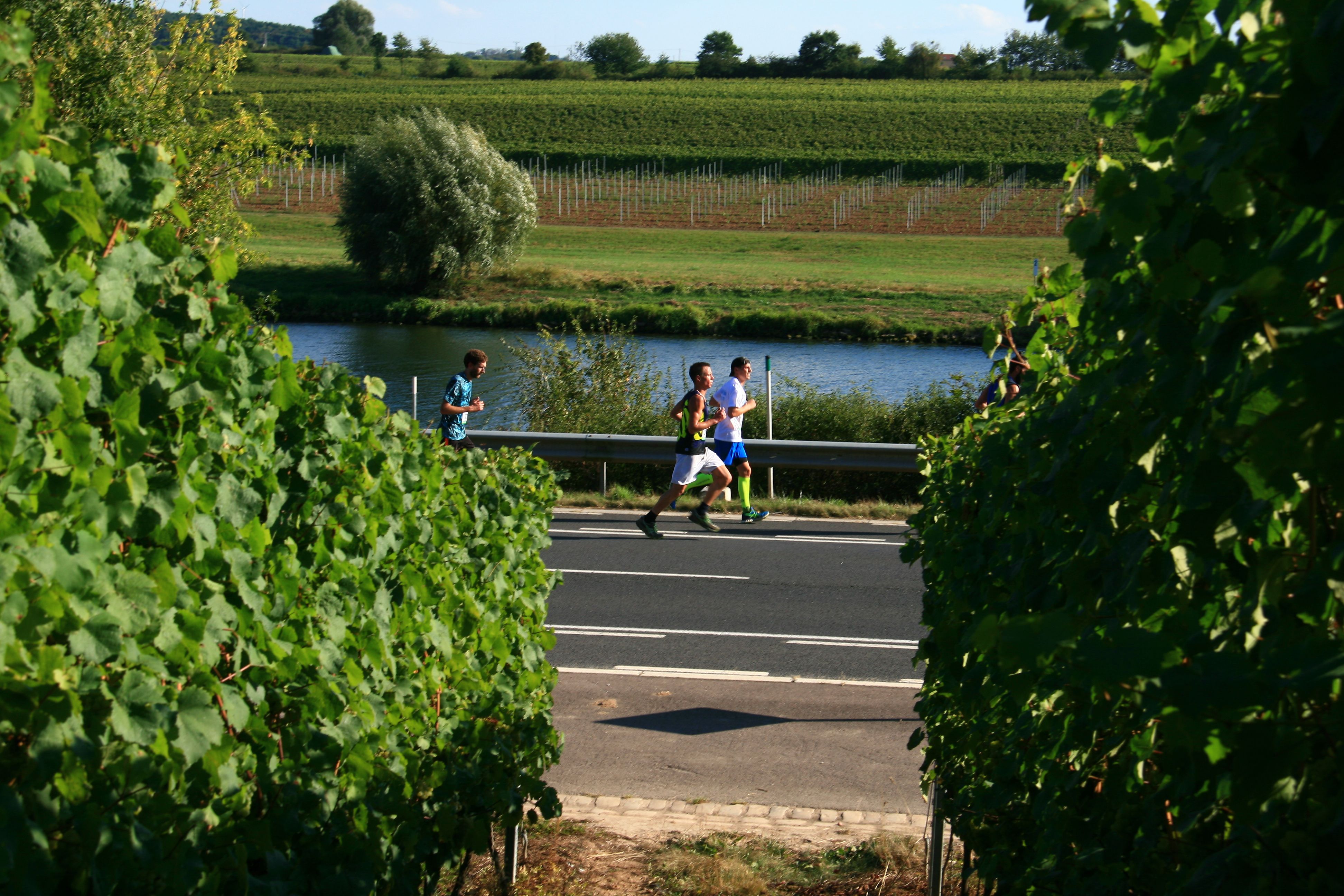 ING Route du Vin - Visit Moselle