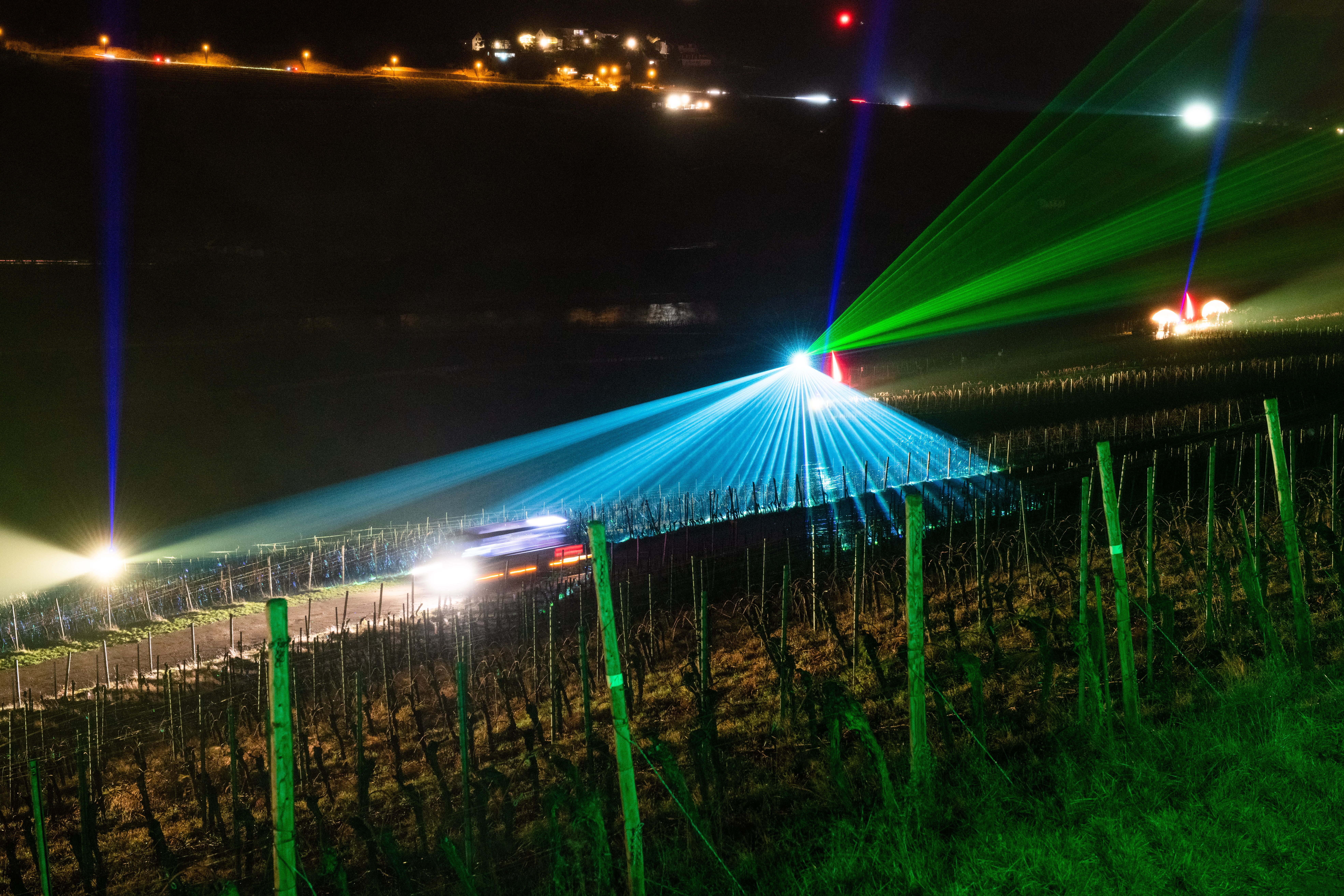 Wine Lights Enjoy 2021