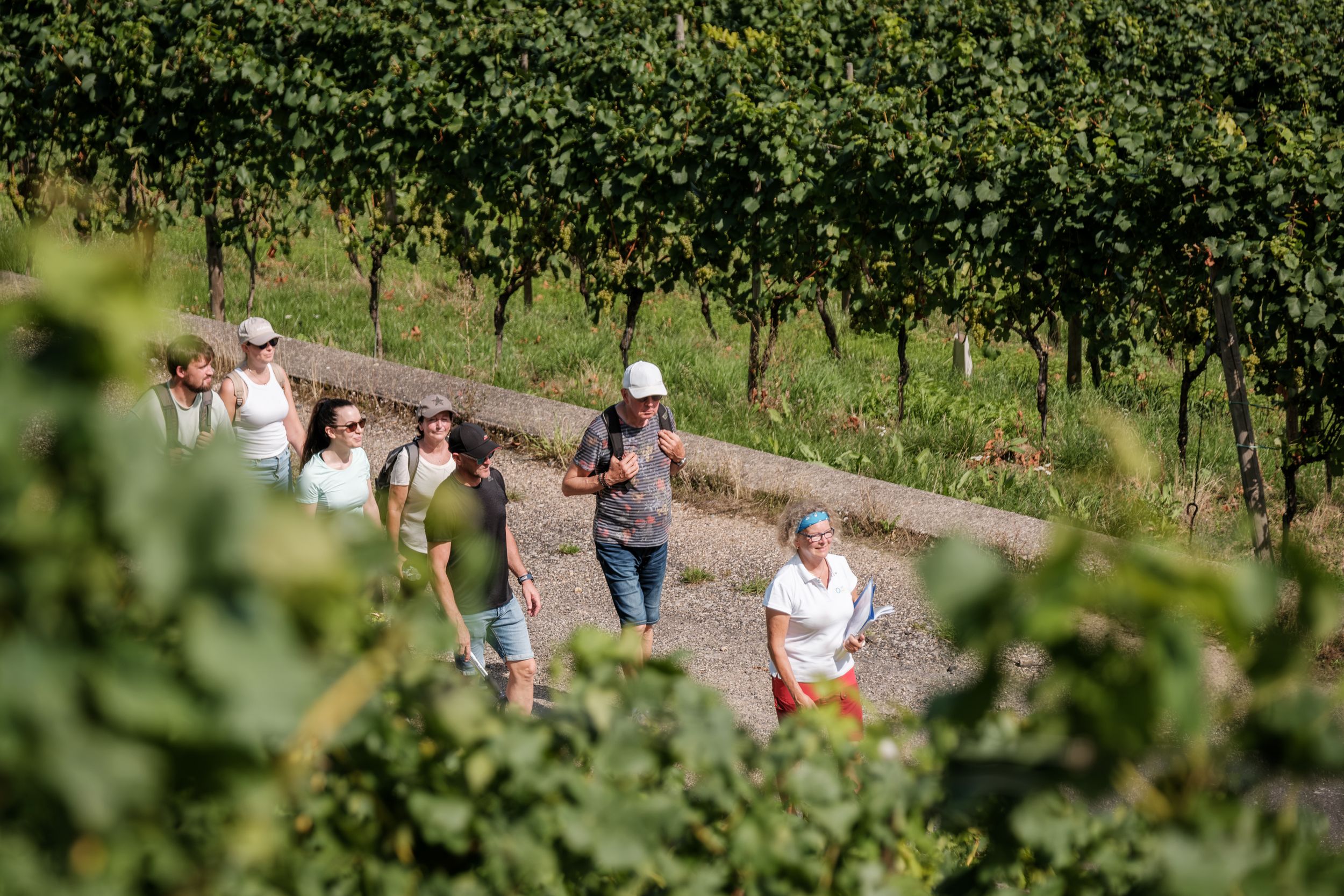 Geführte Wanderung