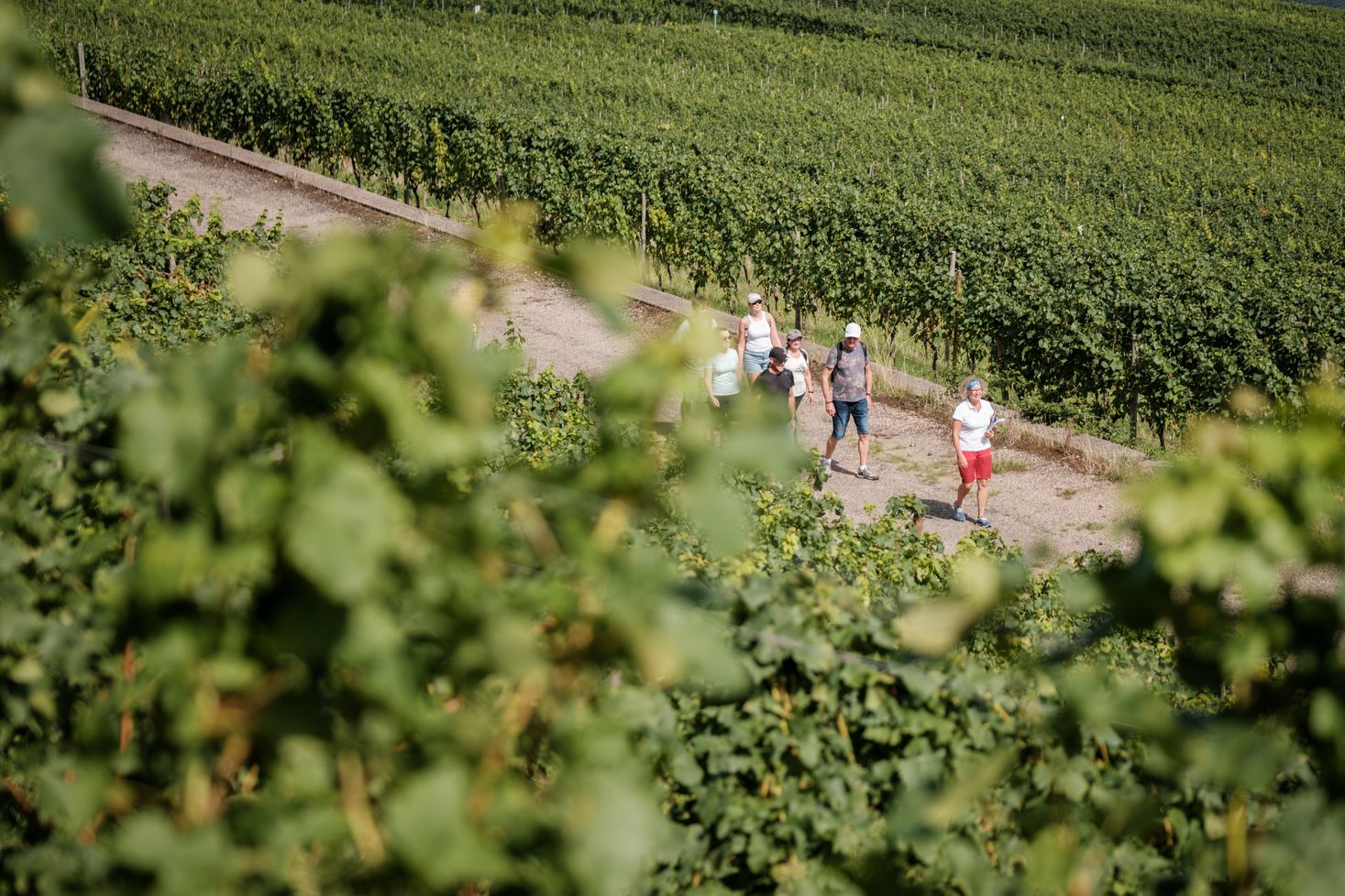 Geführte Wanderung