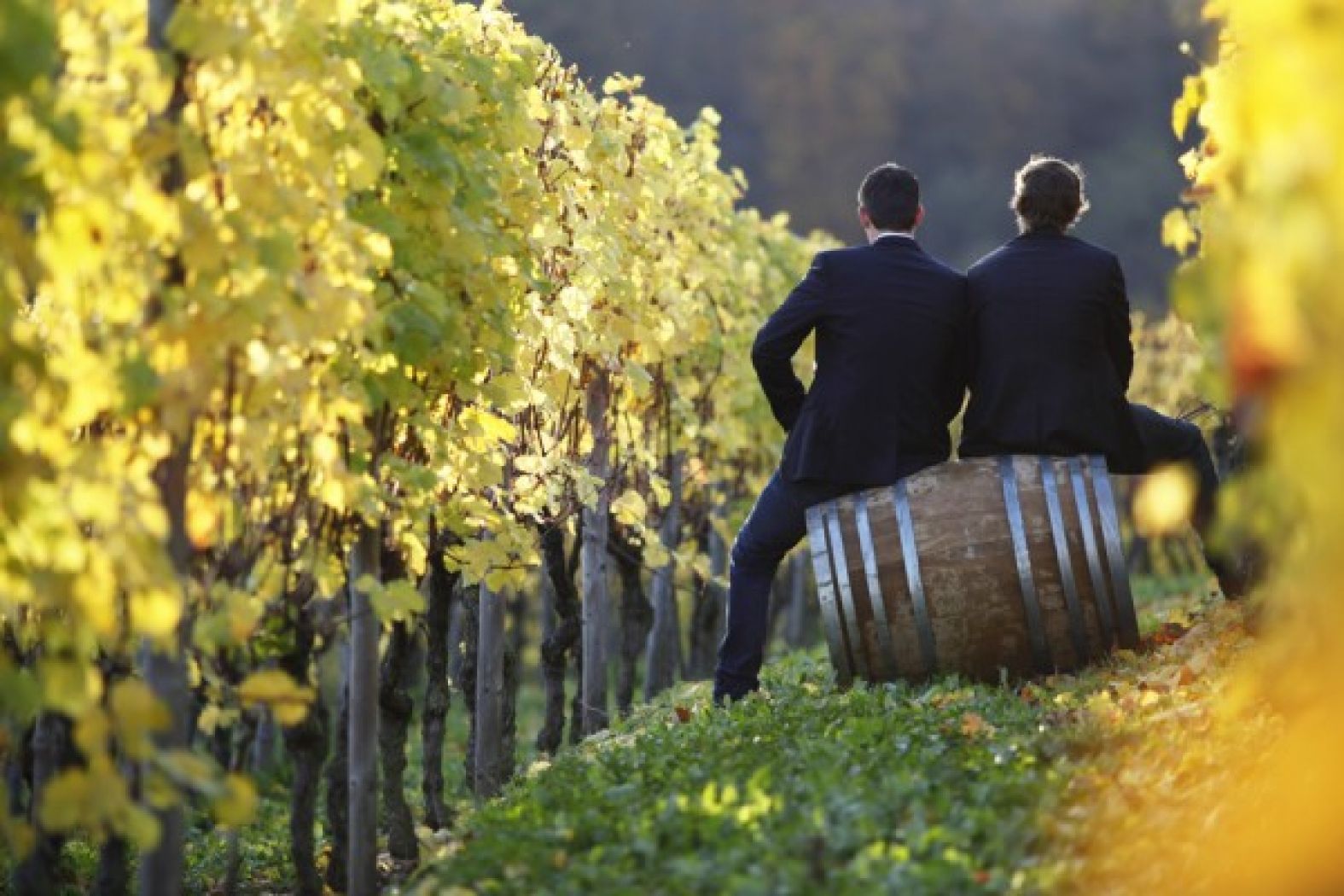 Domaine Mme Aly Duhr