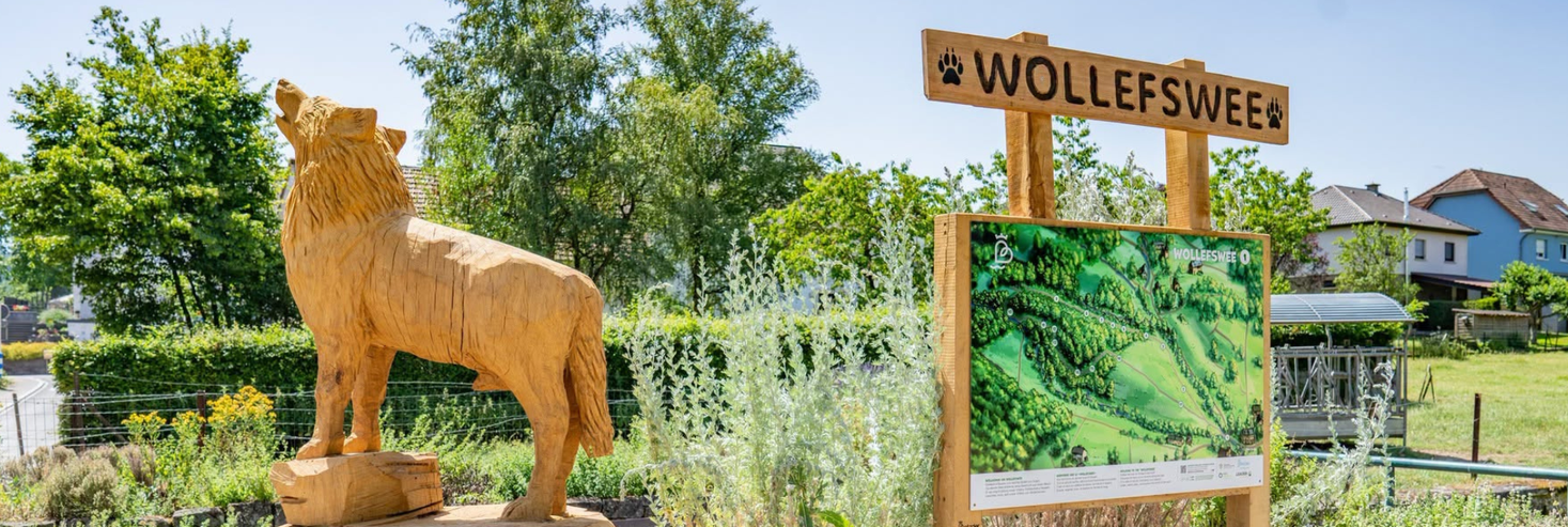 Wollefswee