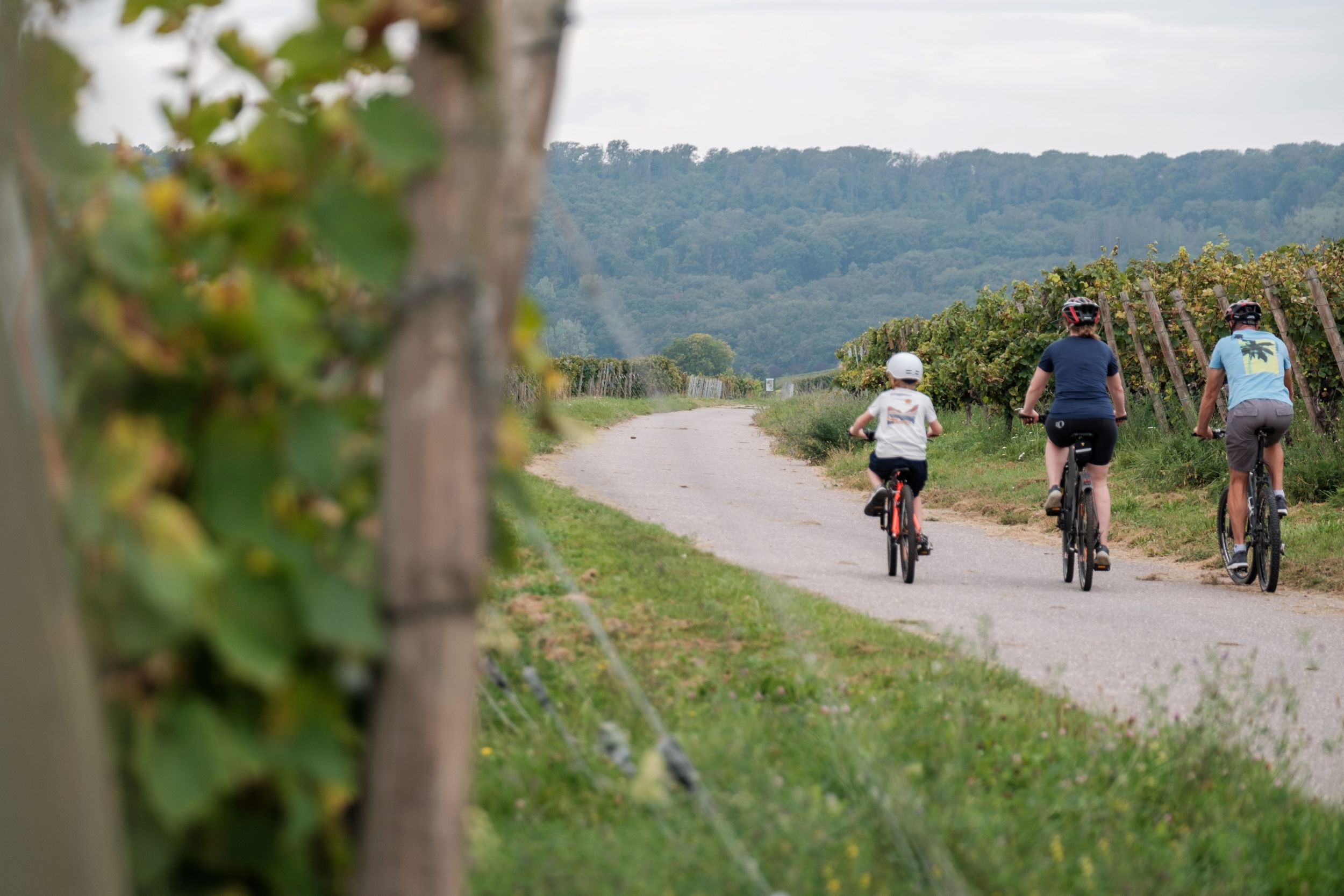 Cycling