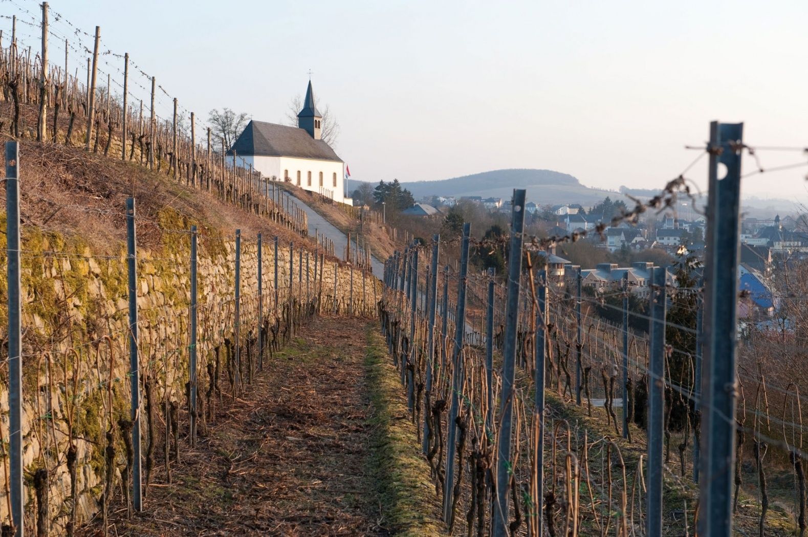 Circular walk Grevenmacher I