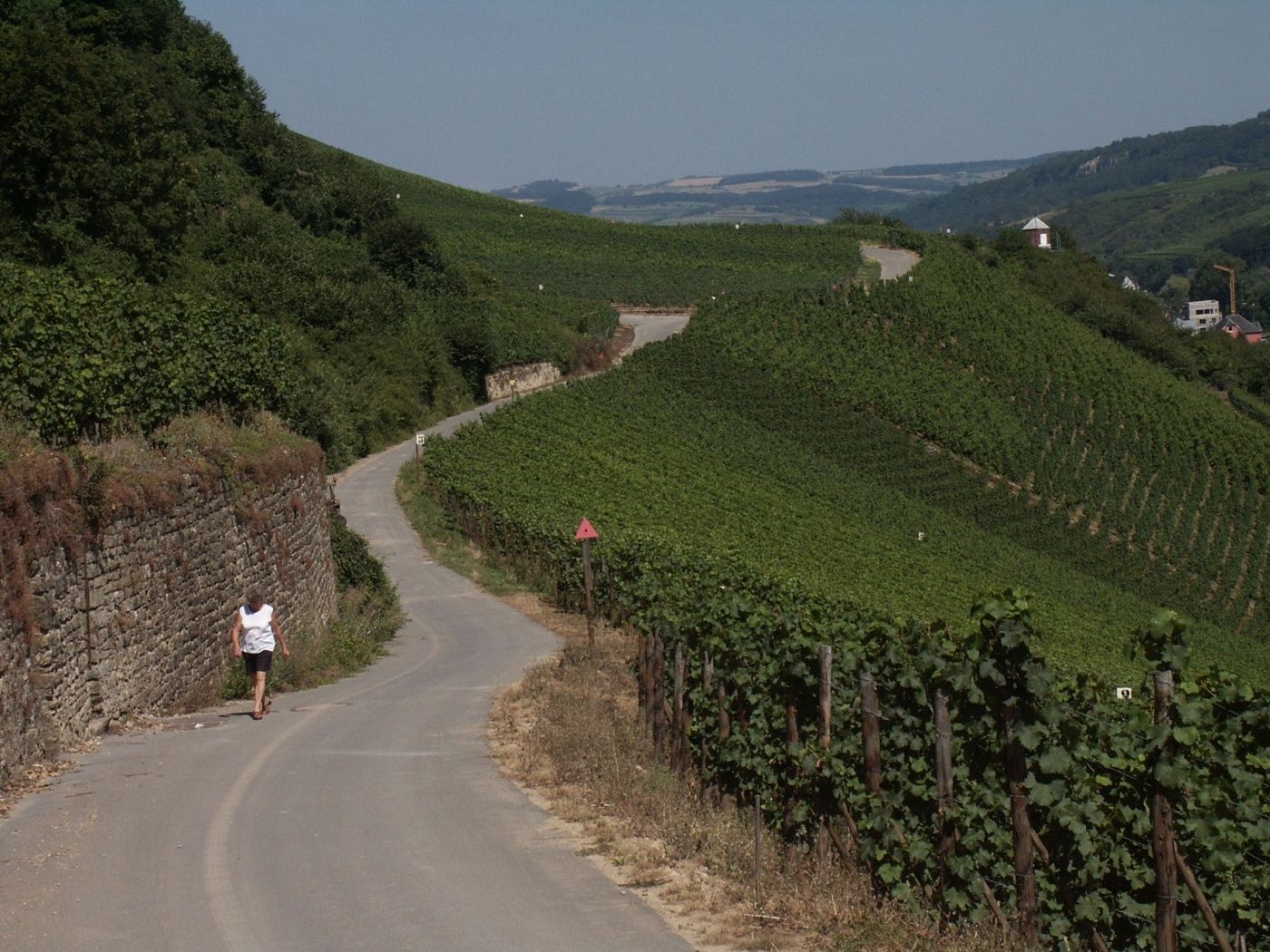 Circular walk Grevenmacher I