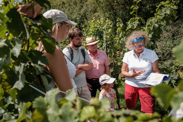 Geführte Wanderung